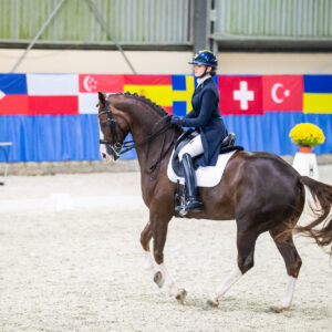 CDI Wroclaw 2023 - autumn