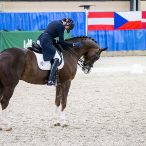 CDI Wroclaw 2023 - autumn