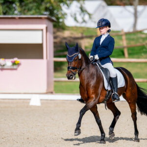 CDI Troisdorf 2023 - autumn