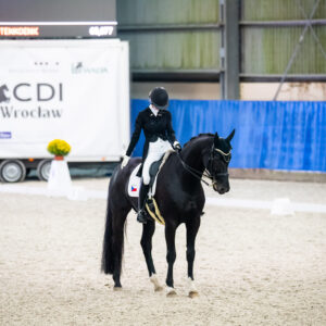 CDI Wroclaw 2023 - autumn