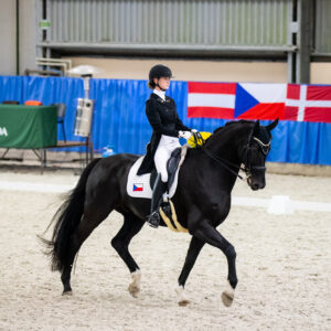 CDI Wroclaw 2023 - autumn