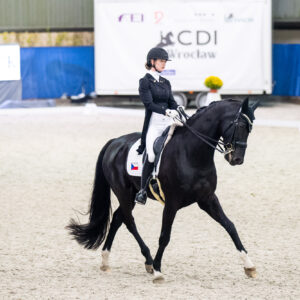 CDI Wroclaw 2023 - autumn
