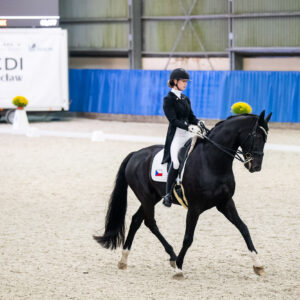 CDI Wroclaw 2023 - autumn