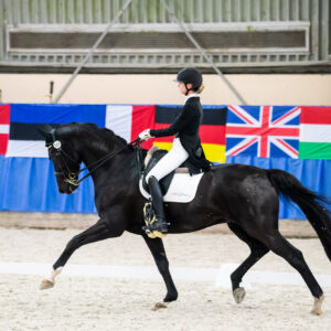 CDI Wroclaw 2023 - autumn