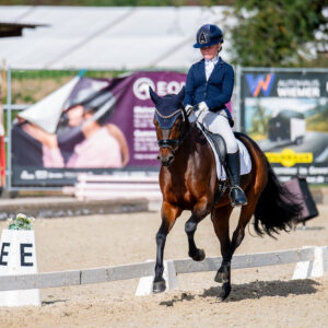 CDI Troisdorf 2023 - autumn
