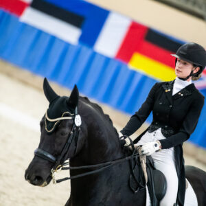 CDI Wroclaw 2023 - autumn