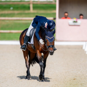 CDI Troisdorf 2023 - autumn