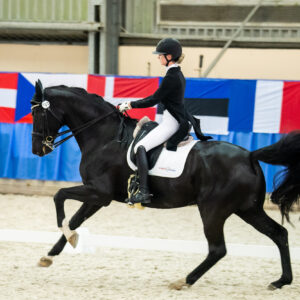 CDI Wroclaw 2023 - autumn