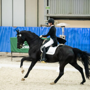 CDI Wroclaw 2023 - autumn