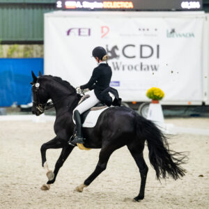 CDI Wroclaw 2023 - autumn