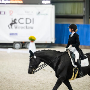 CDI Wroclaw 2023 - autumn