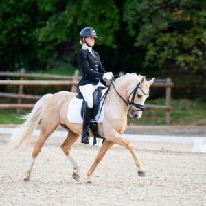 CDI Troisdorf 2023 - autumn