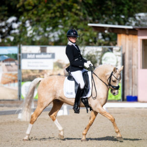 CDI Troisdorf 2023 - autumn