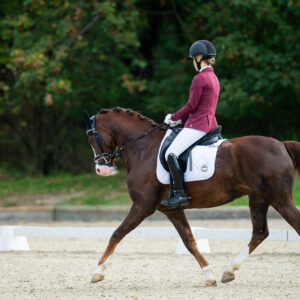 CDI Troisdorf 2023 - autumn