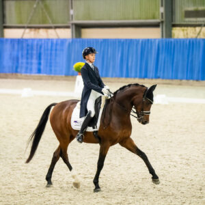 CDI Wroclaw 2023 - autumn