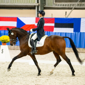 CDI Wroclaw 2023 - autumn