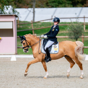 CDI Troisdorf 2023 - autumn