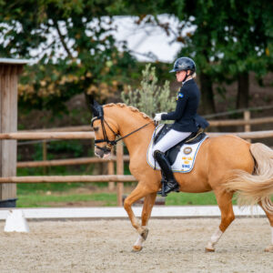 CDI Troisdorf 2023 - autumn