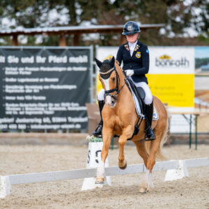 CDI Troisdorf 2023 - autumn