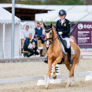 CDI Troisdorf 2023 - autumn