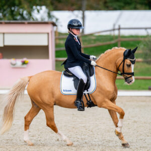 CDI Troisdorf 2023 - autumn