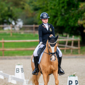 CDI Troisdorf 2023 - autumn
