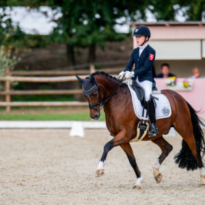 CDI Troisdorf 2023 - autumn