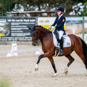 CDI Troisdorf 2023 - autumn