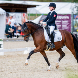 CDI Troisdorf 2023 - autumn