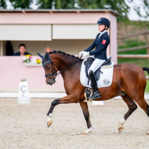 CDI Troisdorf 2023 - autumn