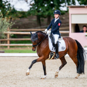 CDI Troisdorf 2023 - autumn