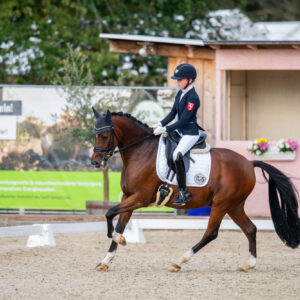 CDI Troisdorf 2023 - autumn