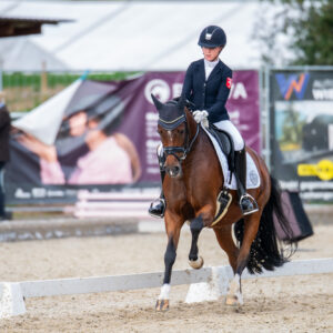 CDI Troisdorf 2023 - autumn