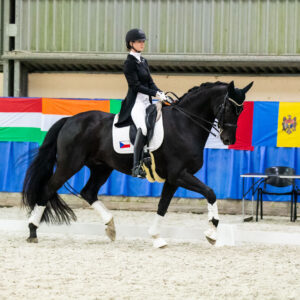CDI Wroclaw 2023 - autumn