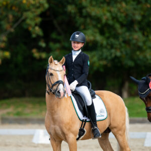 CDI Troisdorf 2023 - autumn