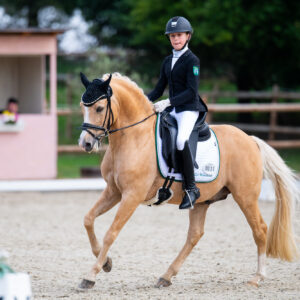 CDI Troisdorf 2023 - autumn