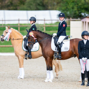 CDI Troisdorf 2023 - autumn