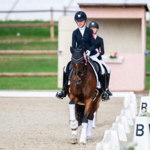 CDI Troisdorf 2023 - autumn