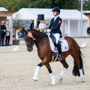 CDI Troisdorf 2023 - autumn