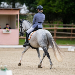 CDI Troisdorf 2023 - autumn